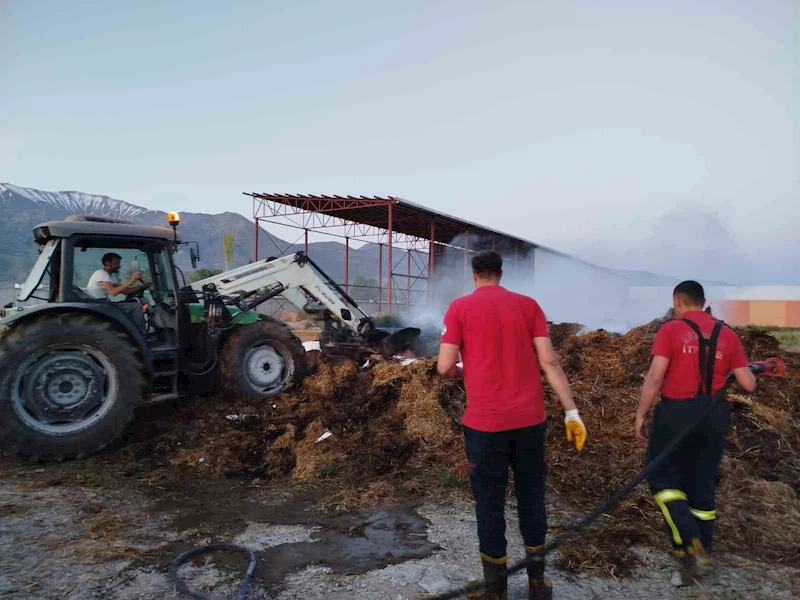 Samanlık yangını büyümeden söndürüldü
