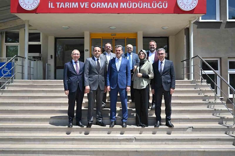 Endüstriyel yemek sektörü, ruhsatsız üretim yapan işletmelerden rahatsız
