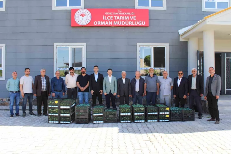 Genç’te üreticilere sebze fidesi dağıtıldı
