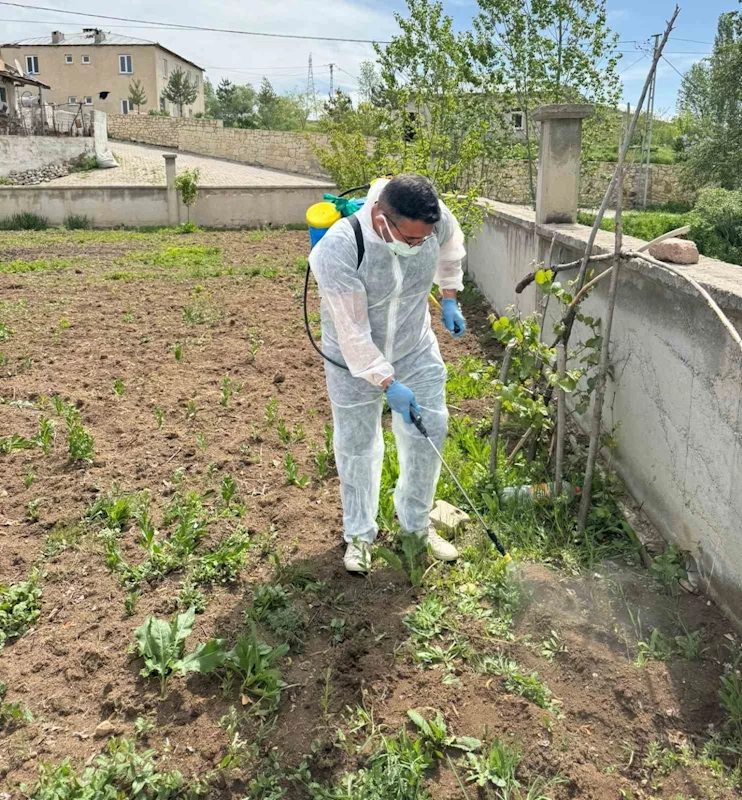 Aydıntepe’de yabancı ot mücadelesi başlatıldı
