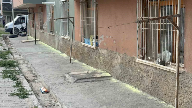 Tokat’ta iki kadının 