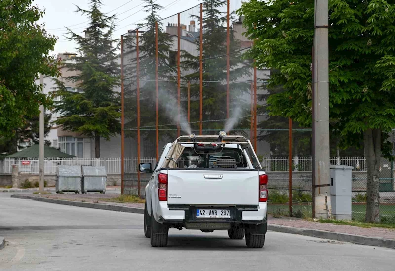 Selçuklu’da ilaçlama çalışmalar başladı
