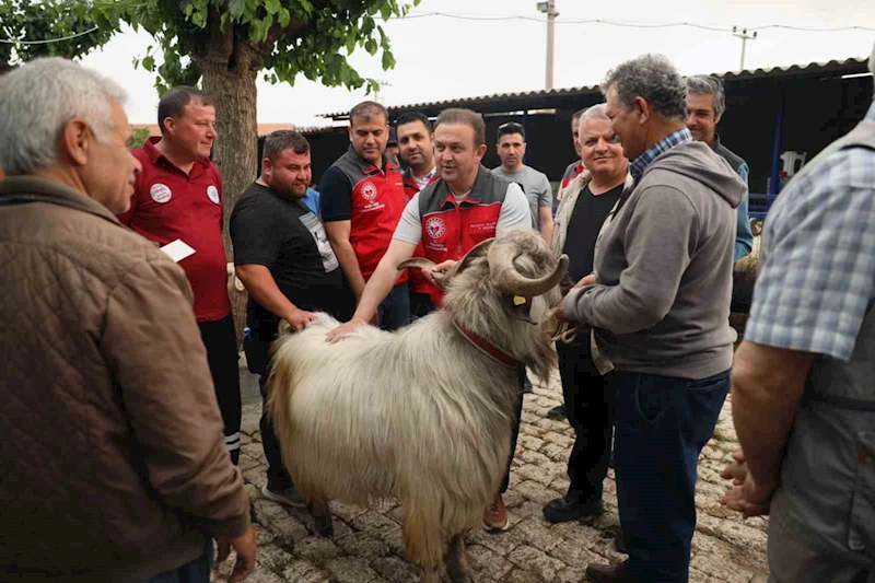 Kurban pazarlarında sağlık ve hijyen kontrolü
