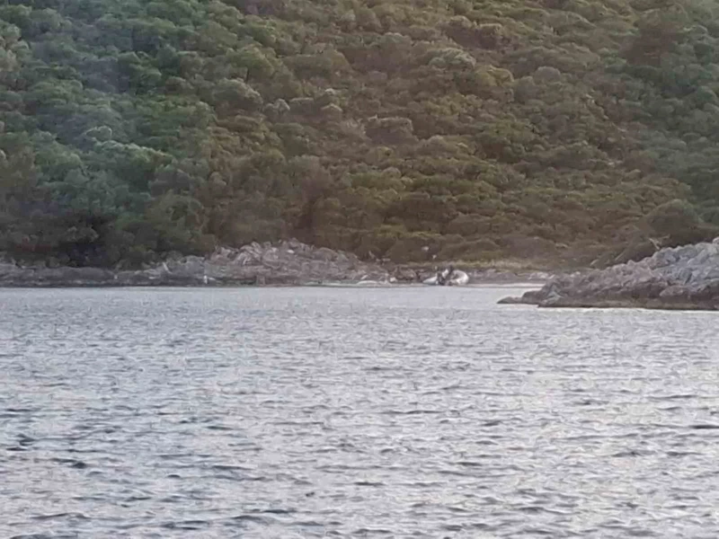 Yasak bölgeye zodyak botla gelen 3 şahıs yakalandı

