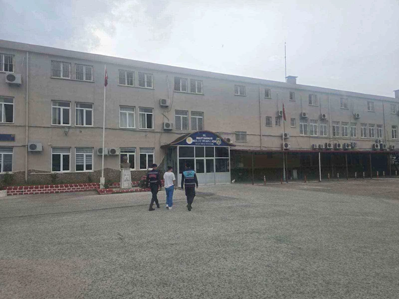 Jandarmadan narkotik operasyonları
