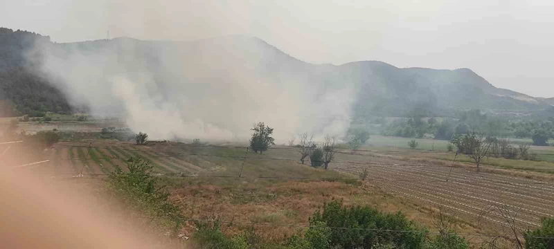 Osmaneli’de anız yangını söndürüldü
