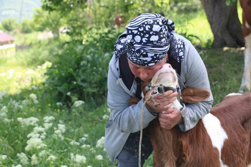 Gürcistanlı Nino, Erzincan çiftçiliğine renk katıyor
