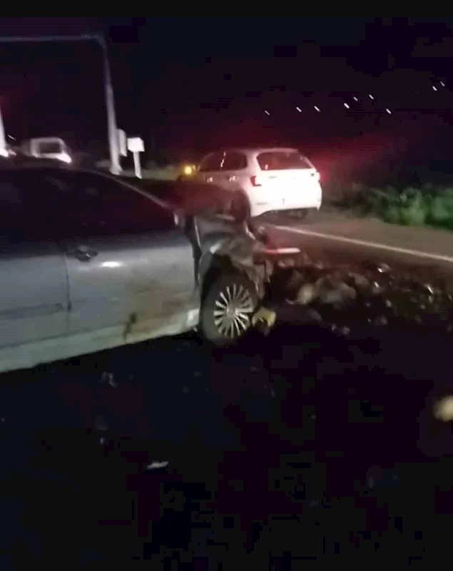 Iğdır’da otomobil hayvan sürüsüne çarptı: 25 koyun telef oldu
