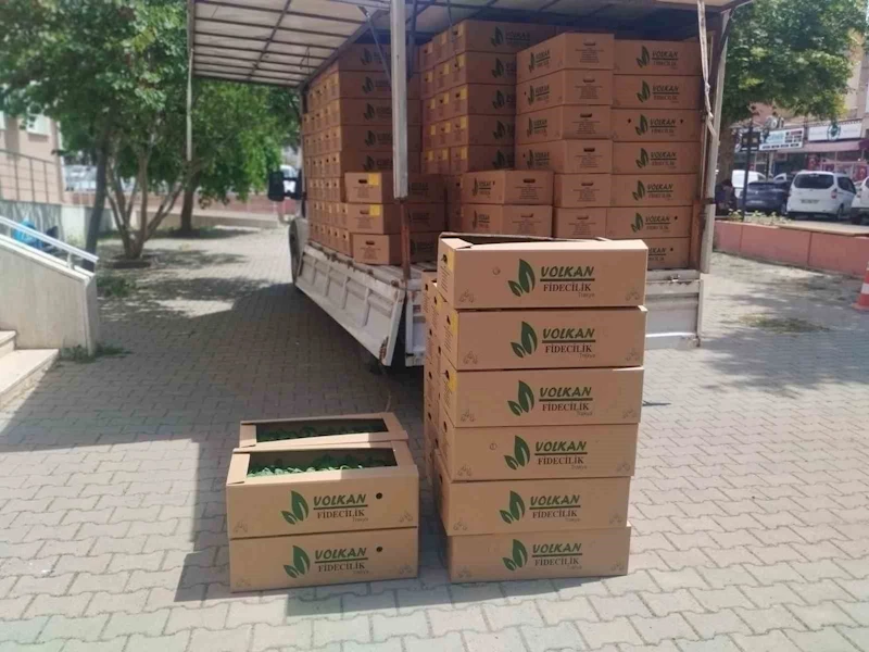 Muratlı’da çiftçiye fide desteği
