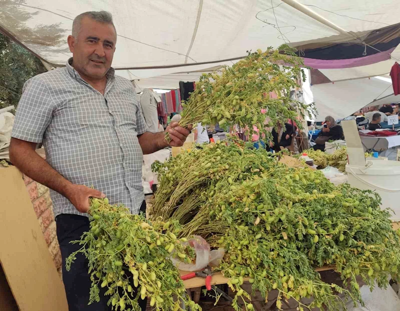 Yeşil nohut tezgahlarda yerini aldı
