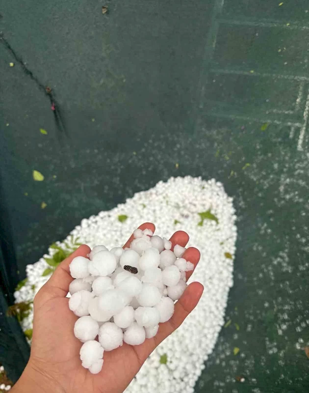 Elazığ’ın yüksek kesimlerinde dolu etkili oldu
