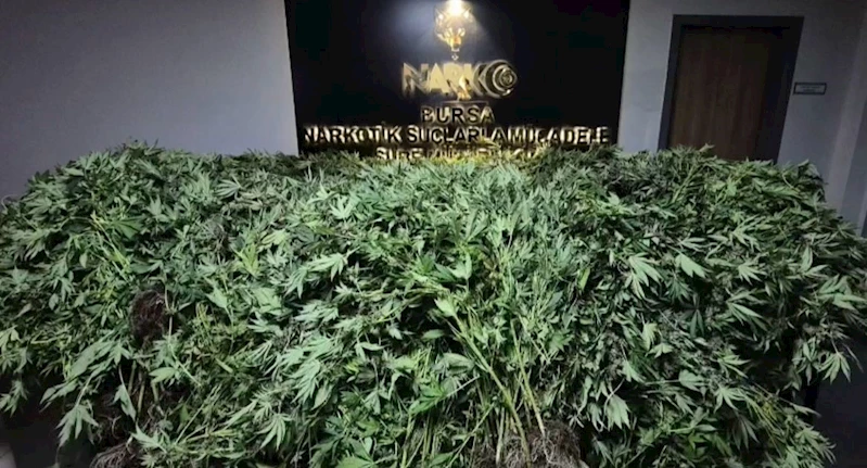 Zehir tacirlerine yapılan baskında 34 şüpheli tutuklandı
