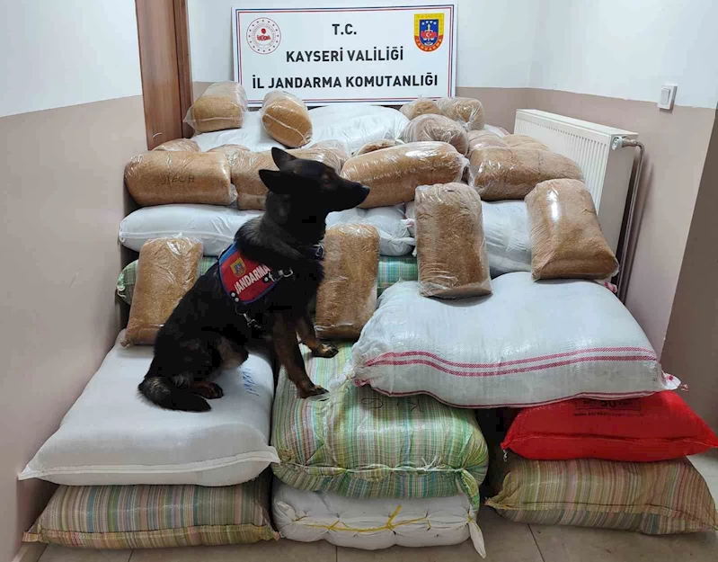 Yolcu otobüsünde kaçak tütün yakalandı