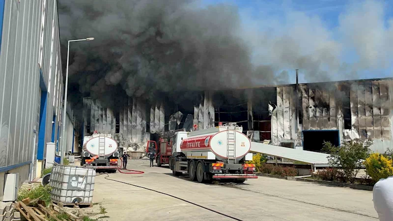 Tekirdağ’da fabrika yangınında patlama sesleri
