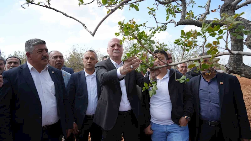 TZOB Genel Başkanı Bayraktar, Gaziantep’te dondan etkilenen bahçeleri inceledi
