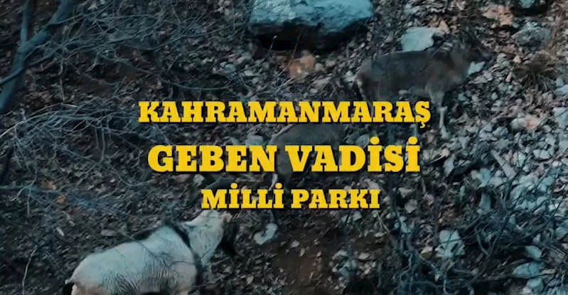 Bakan Yumaklı: 