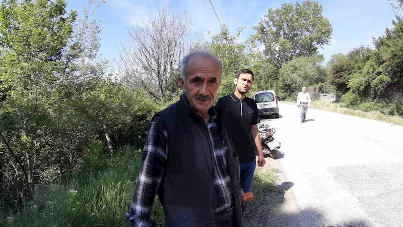 Aracın çarptığı karaca telef oldu
