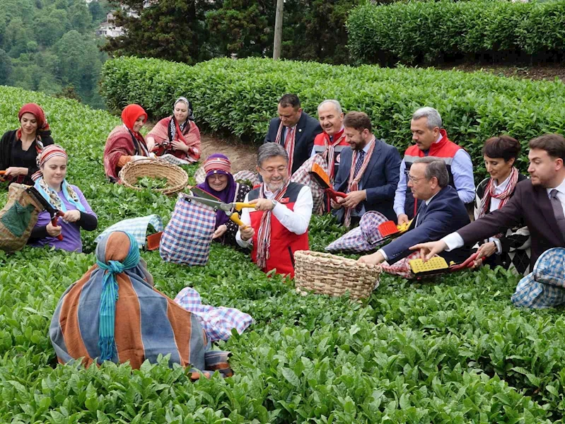 Bakan İbrahim Yumaklı: 