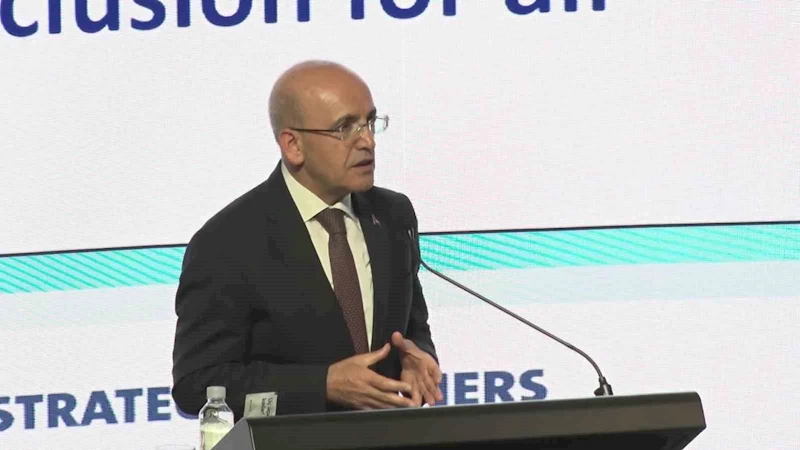 Hazine ve Maliye Bakanı Mehmet Şimşek:  
