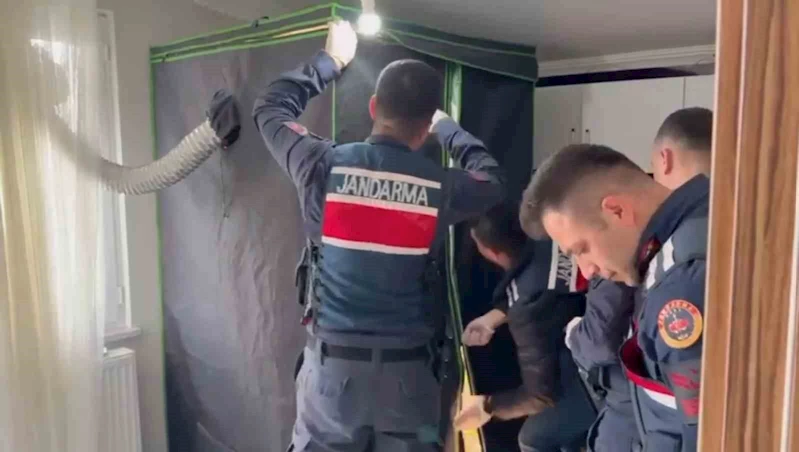 Elbise dolabından uyuşturucu serası çıktı: 4 tutuklama
