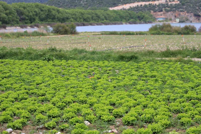 Bursa’da göl havzasındaki 