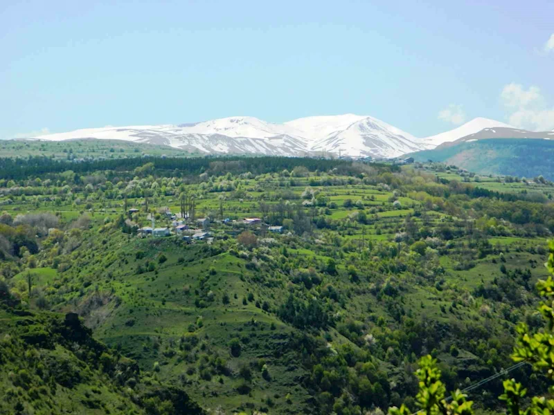 Posof’ta baharla gelen güzellikler

