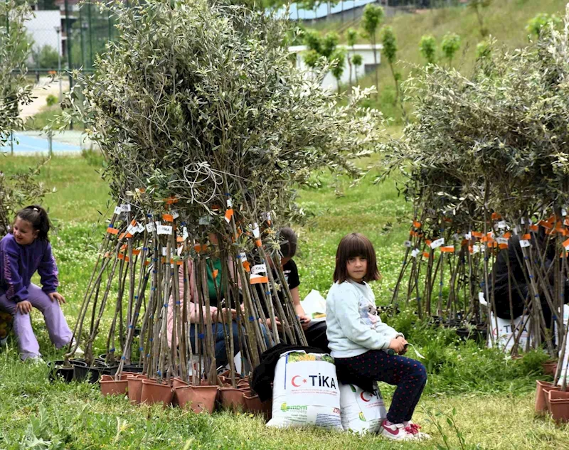 TİKA’dan Arnavutluk’taki yetim ailelere zeytin fidanı ve gübre desteği
