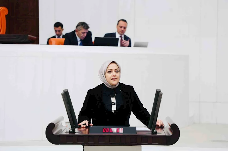 Milletvekili Ün, 