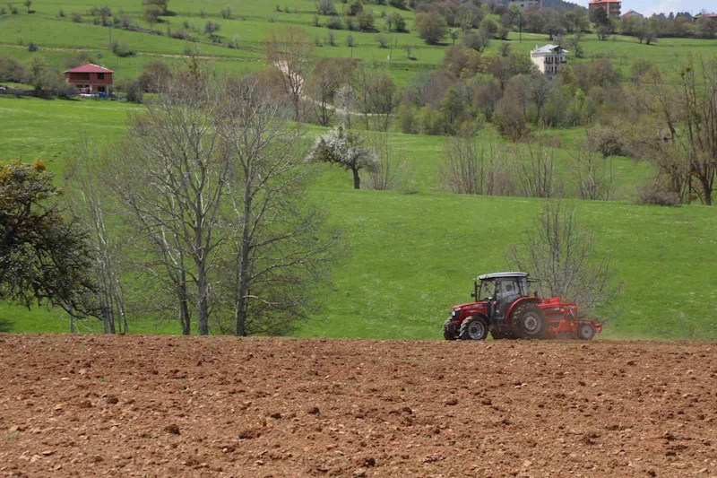 Ordu’nun atıl arazileri bereketleniyor: 34 bin 800 dekar atıl arazi tarıma kazandırıldı
