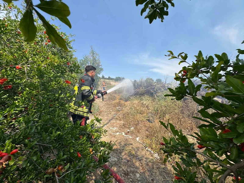 Mersin’de çalılık yangını bahçeye sıçramadan söndürüldü
