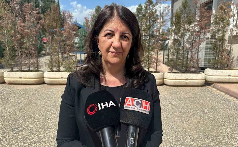 Pervin Buldan: 