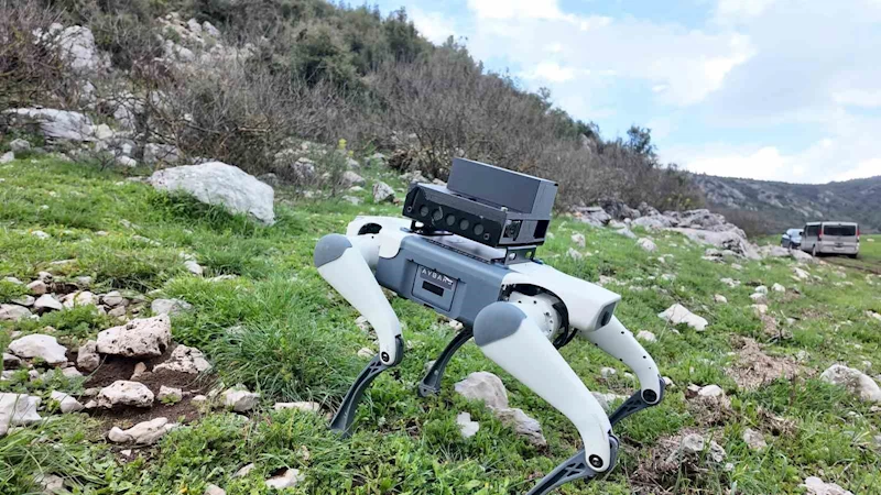 Yerli savunma sanayi firmasından robotik köpek atılımı: 
