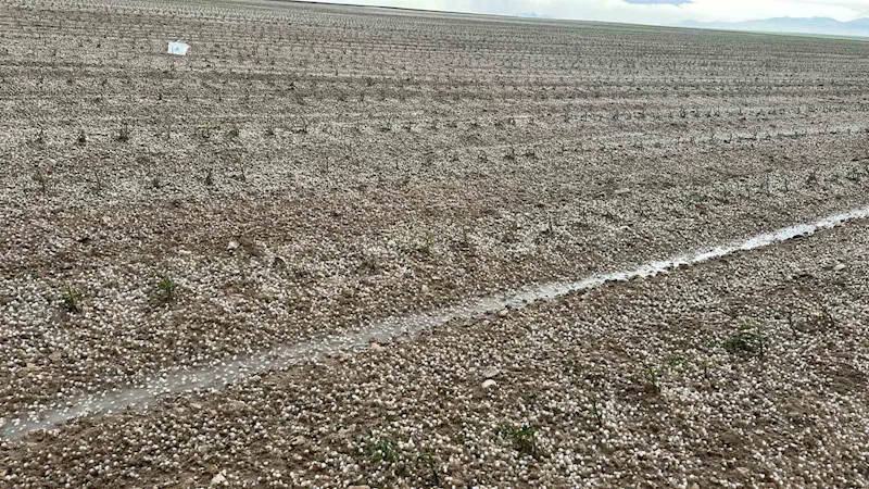 Aksaray’da sağanak ve dolu tarım arazilerini vurdu
