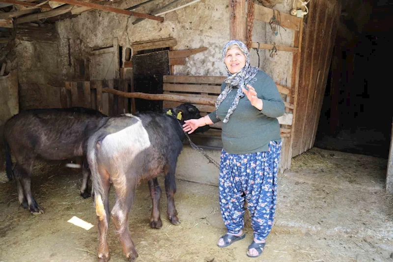 Büyükşehir destekledi üretici kazandı
