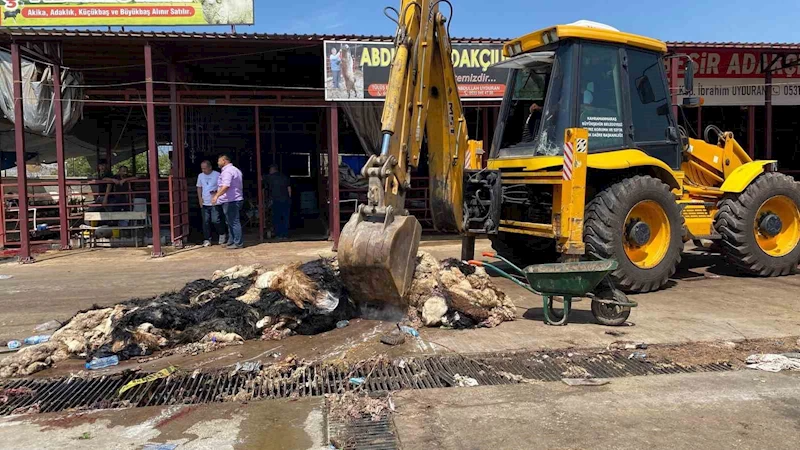 Kahramanmaraş’ta hayvansal atıklar temizlendi

