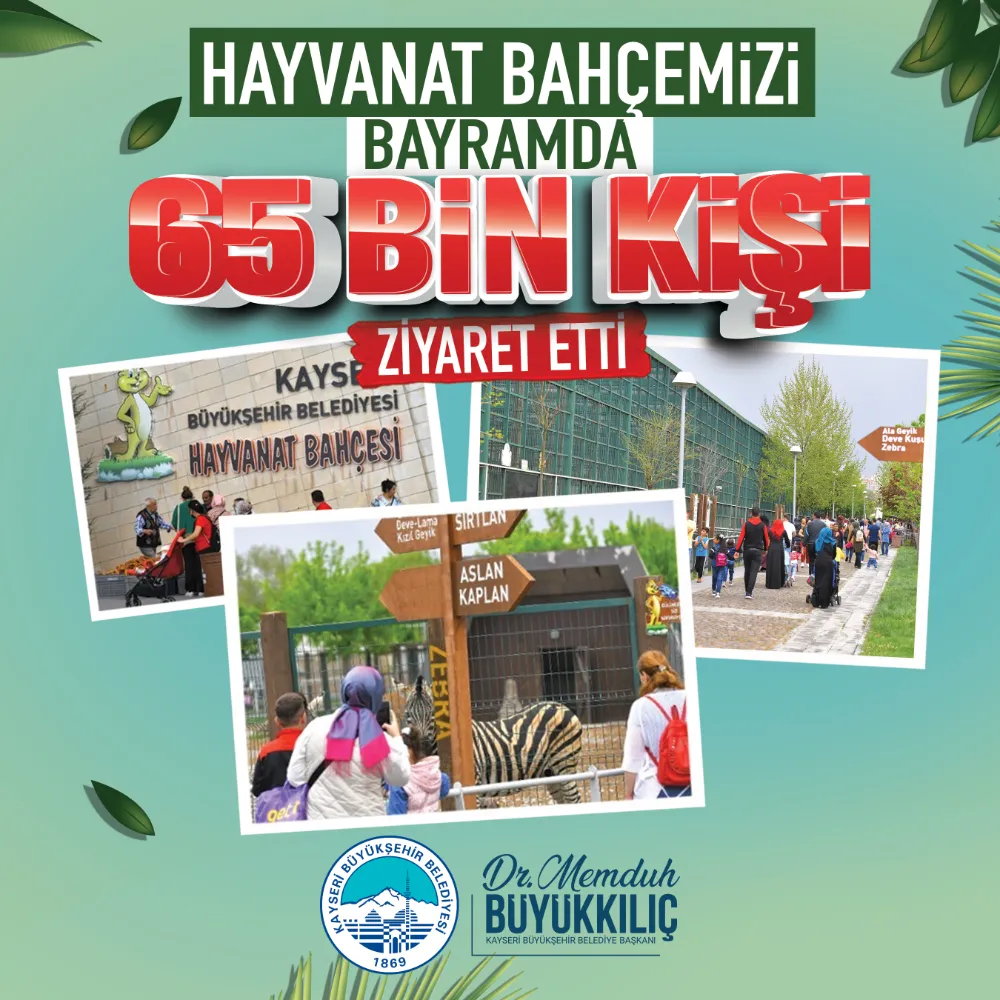 Büyükşehir