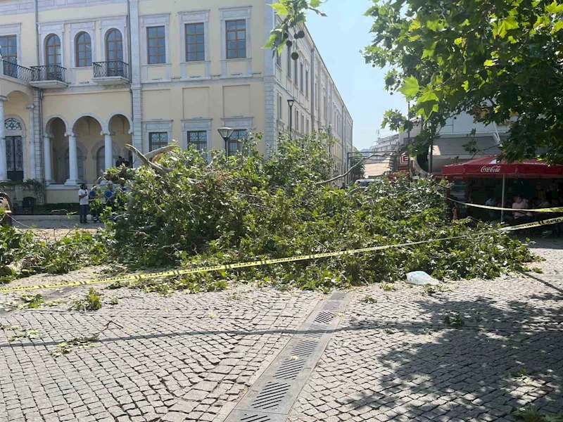 Tarihi Kemeraltı Çarşısı girişindeki dev çınar devrildi
