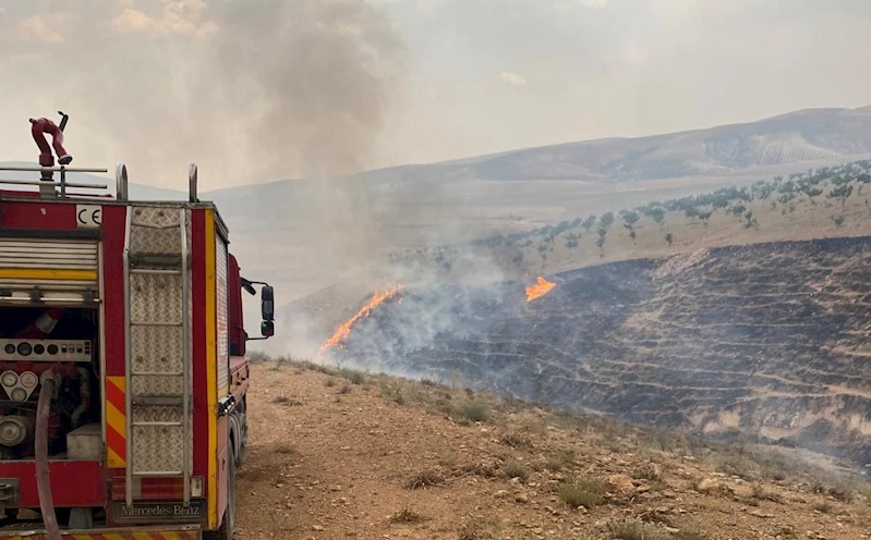 Şanlıurfa’daki orman yangınına havadan ve karadan müdahale ediliyor
