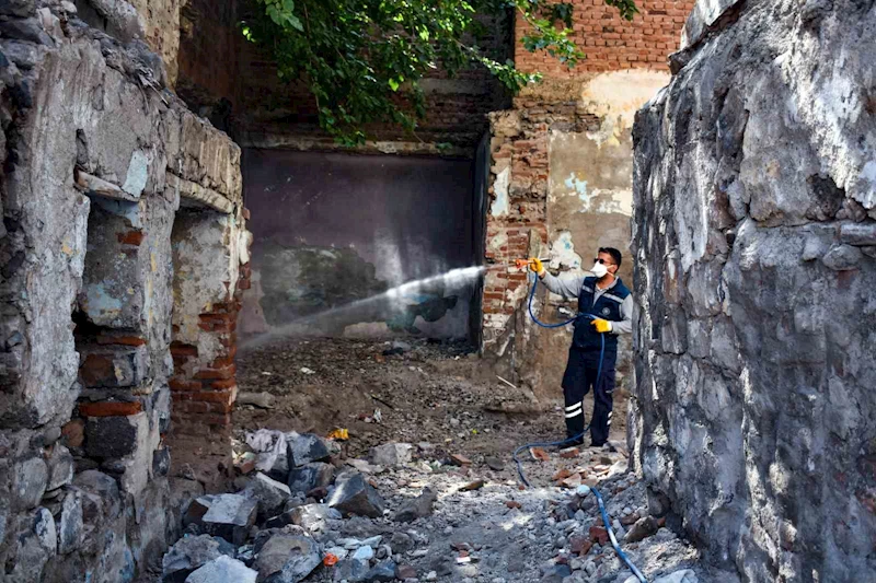 Diyarbakır’da metruk binalarda ilaçlama yapıldı
