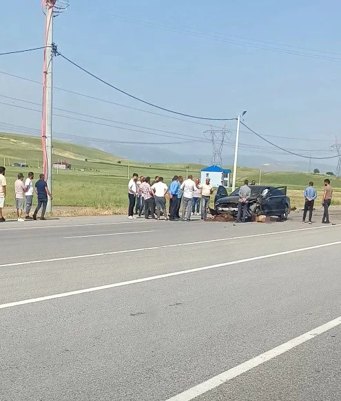 Otomobil sürüye çarptı, onlarca koyun telef oldu
