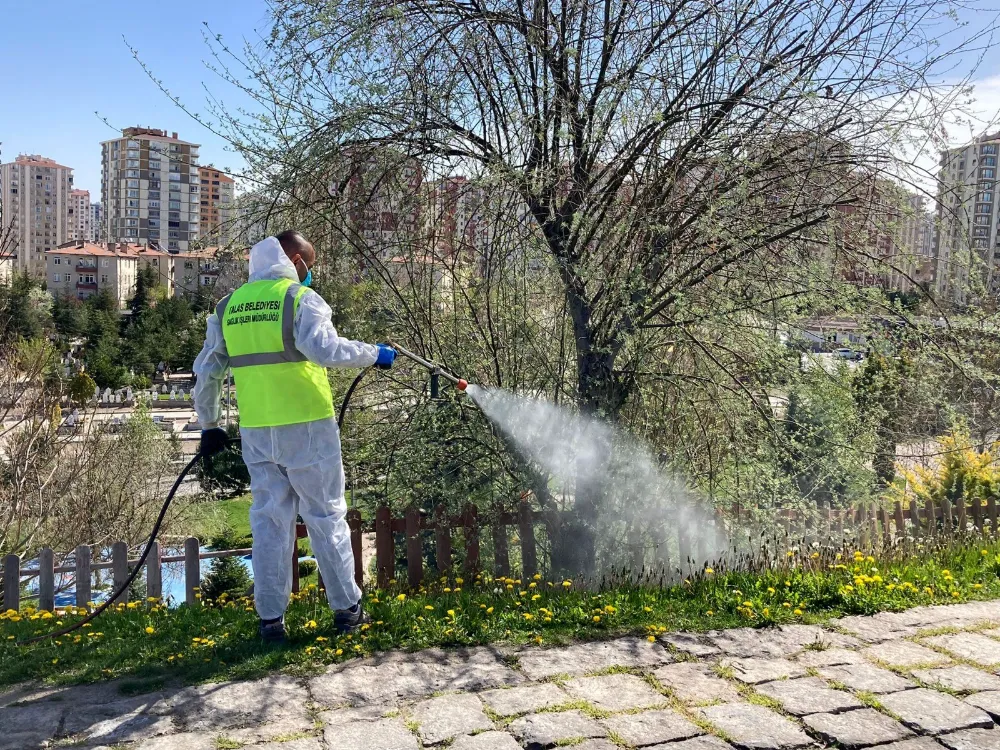 Talas’ta haşereyle kararlı mücadele