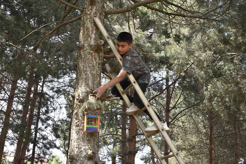 Öğrenciler atık su bidonlarından kuş yuvası yapıp millet bahçesine astı
