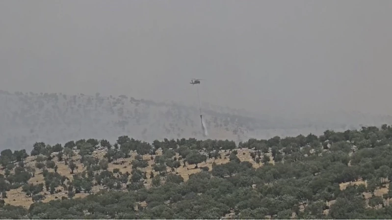 Mardin’de çıkan orman yangını kontrol altına alındı
