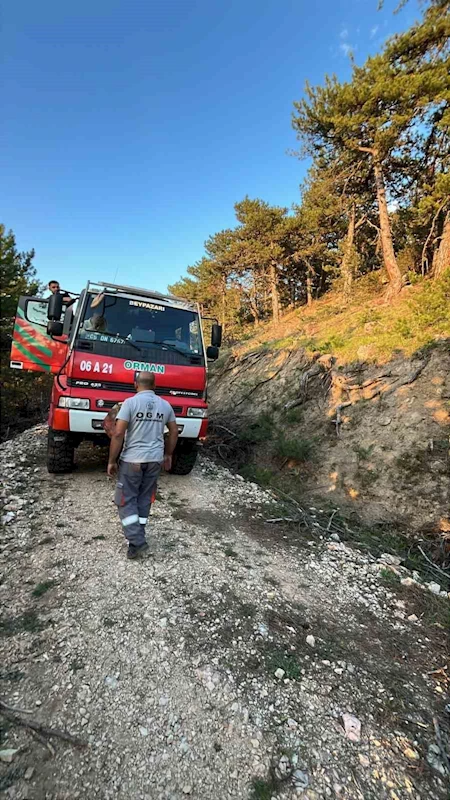 Beypazarı’nda orman yangını
