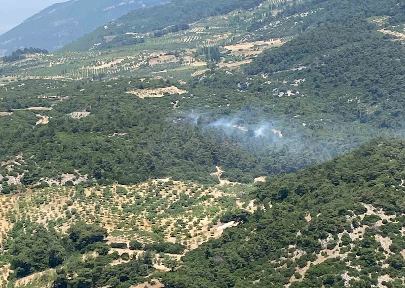 Aydın’daki orman yangını kontrol altına alındı
