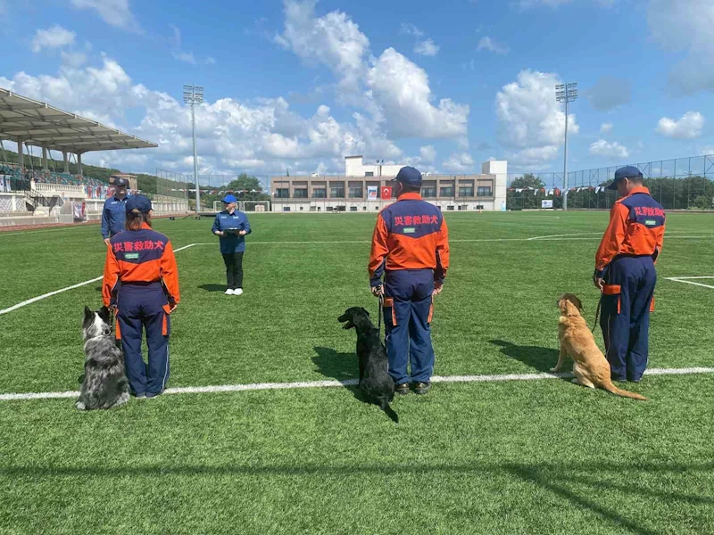 9 ülkeden 27 arama kurtarma köpeği İstanbul’daki şampiyonada yarıştı
