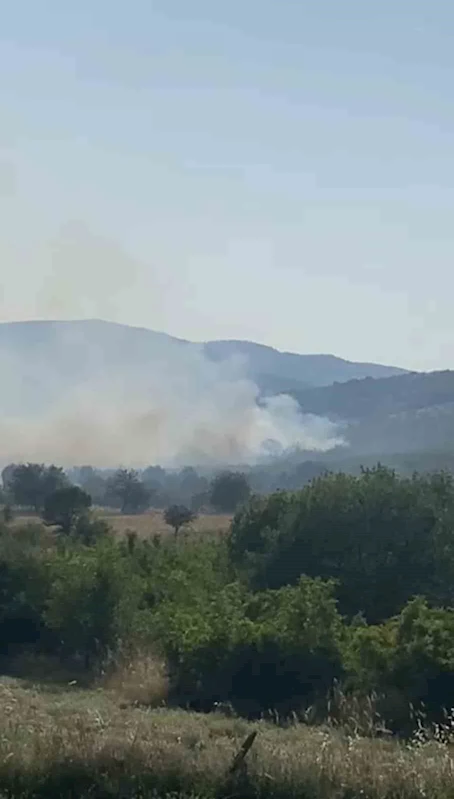 Balıkesir’de meralık alanda yangın
