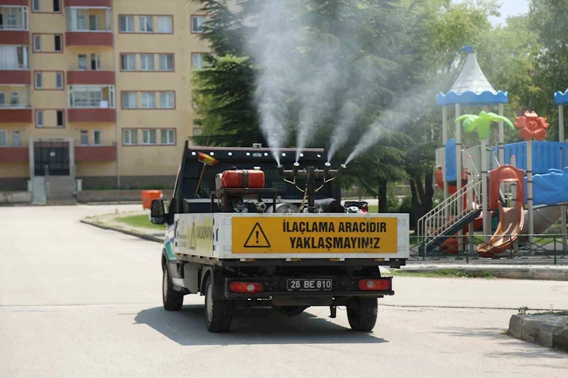 Odunpazarı Belediyesi’nden kenelere karşı etkili mücadele
