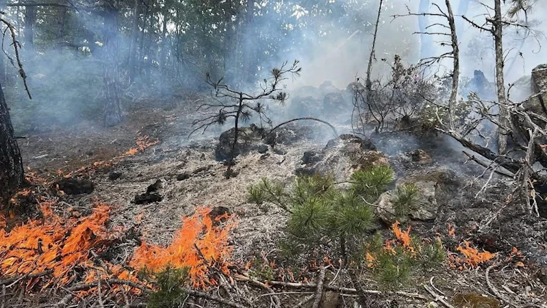 Kastamonu’da çıkan orman yangını büyümeden söndürüldü
