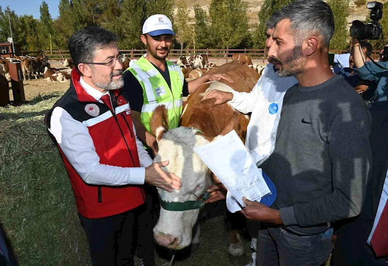 Bakan Yumaklı, Kurban Bayramı’nda 830 bin büyükbaş ve 2,5 milyon küçükbaş hayvan kesildiğini açıkladı
